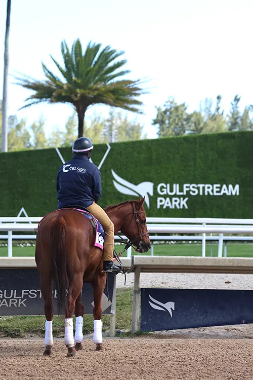 Pegasus World Cup